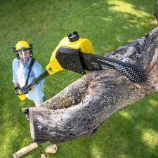 Best Hazardous Tree Removal  in Baraboo, WI