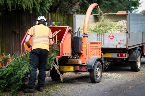 Best Tree Preservation Services  in Baraboo, WI