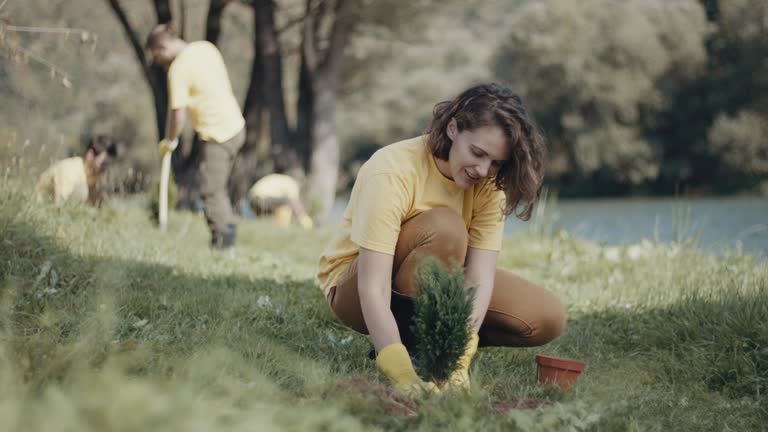 Best Lawn Drainage Solutions  in Baraboo, WI