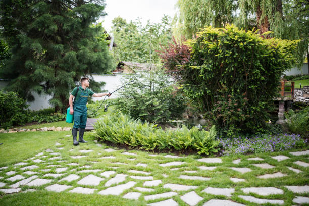 Professional Tree Services in Baraboo, WI