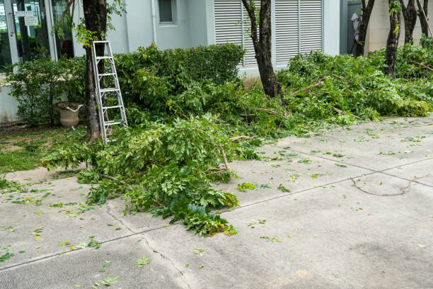Best Lawn Pest Prevention  in Baraboo, WI